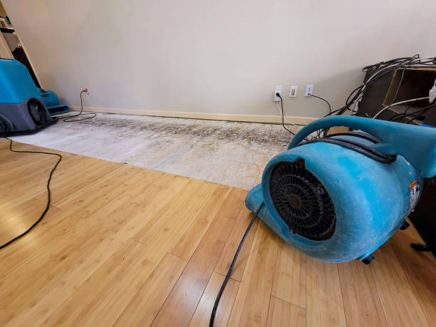 Professional Structural Drying technician working in Potterville, MI